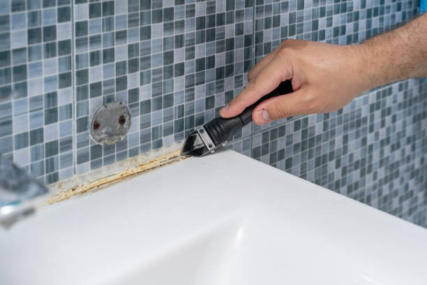 Best Toxic Mold Removal  in St Maries, ID